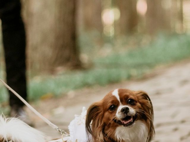 O casamento de Rodrigo e Ariadni em Santa Maria, Rio Grande do Sul 12