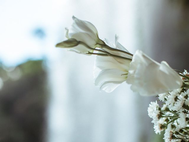 O casamento de Dustin e Tamirys em Alfredo Wagner, Santa Catarina 154