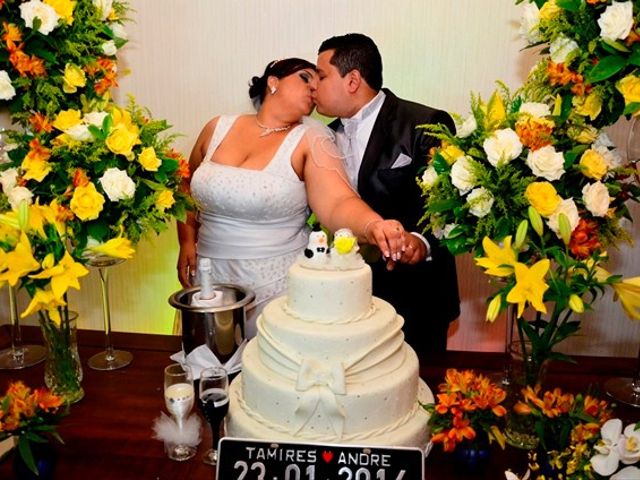 O casamento de André e Tamires em Mauá, São Paulo 33