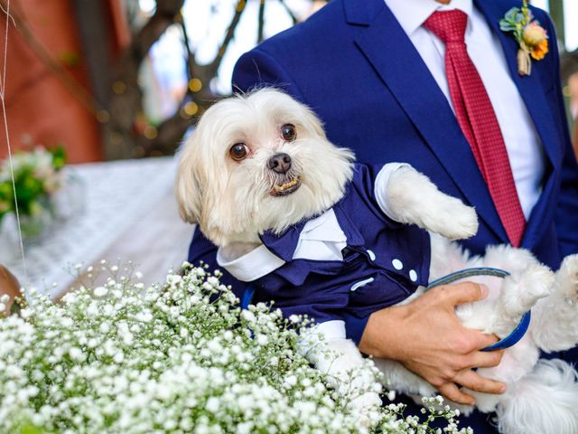 O casamento de Fernando e Cíntia em São Paulo 50