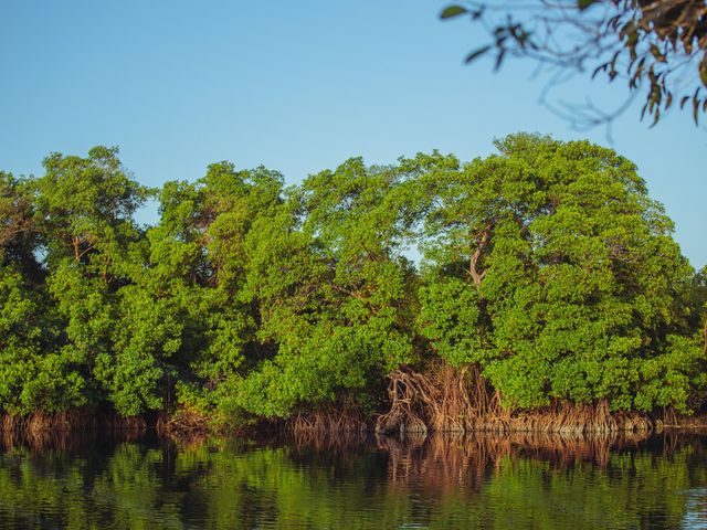 O casamento de Ebert e Lenice em Lauro de Freitas, Bahia 22