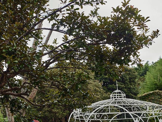 O casamento de Vinicius e Natielly em São Bernardo do Campo, São Paulo 43