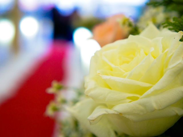O casamento de Rafael e Thuany em Barueri, São Paulo 1