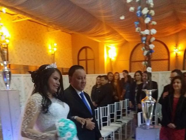 O casamento de Diego Manoel dos Santos e Luana Jorge dos Santos em Mauá, São Paulo 15