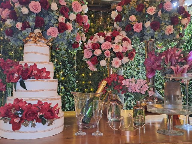 O casamento de Heverton e Liliane  em Santo André, São Paulo 24