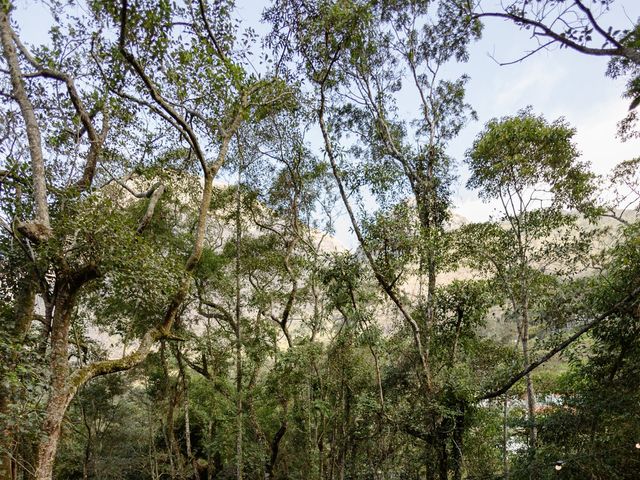 O casamento de Rodrigo e Carol em Petrópolis, Rio de Janeiro 36