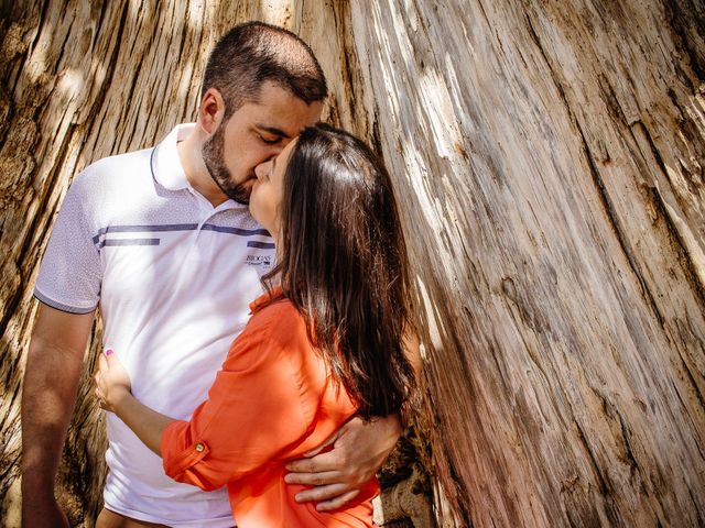 O casamento de João e Angela em Campinas, São Paulo Estado 6