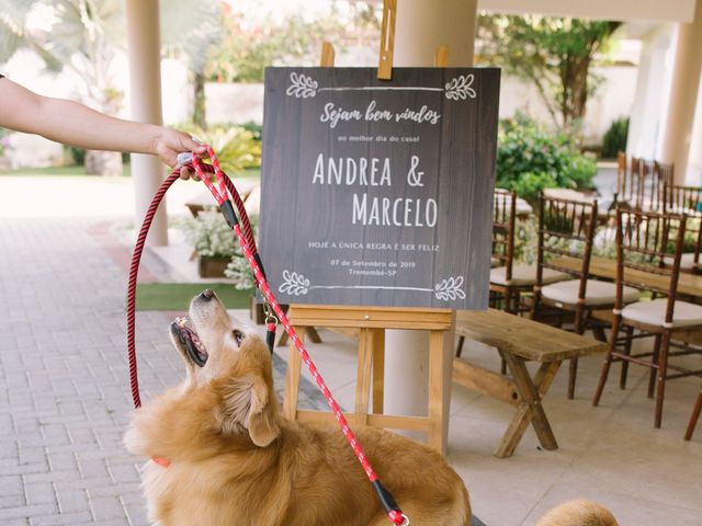 O casamento de Marcelo  e Andrea em Tremembé, São Paulo Estado 9