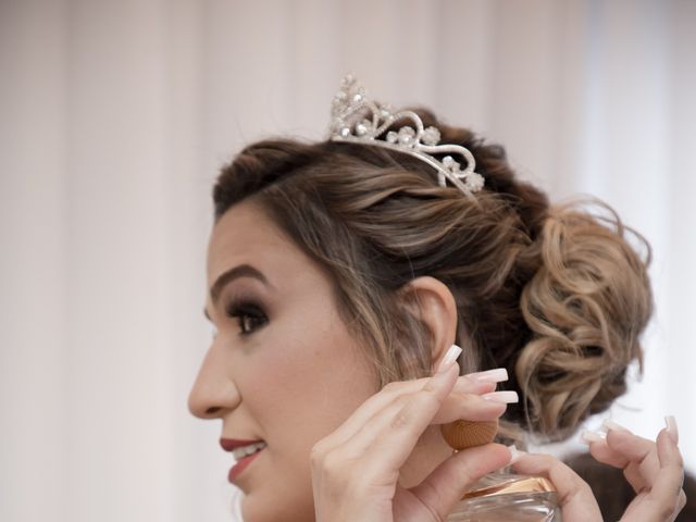 O casamento de Vicente e Denise em Rio Verde, Goiás 9