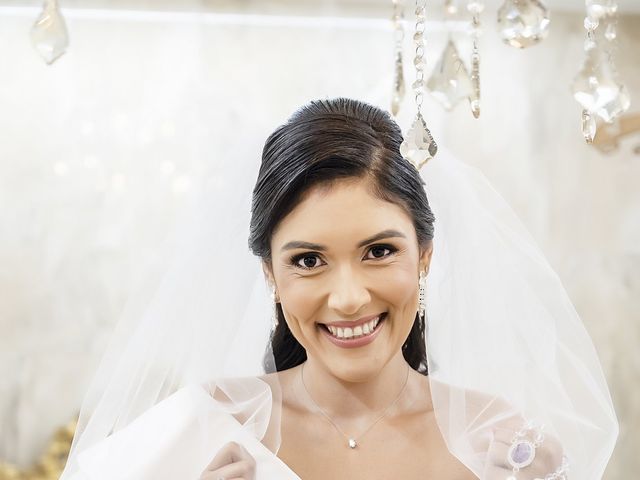 O casamento de José e Lorena em Goiânia, Goiás 95