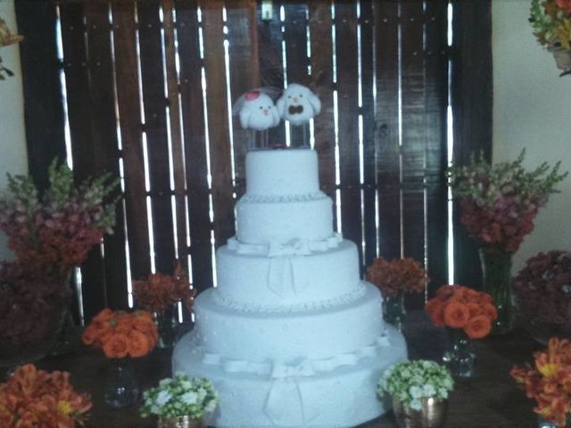 O casamento de Geovanna e Izaias em Paulínia, São Paulo Estado 8