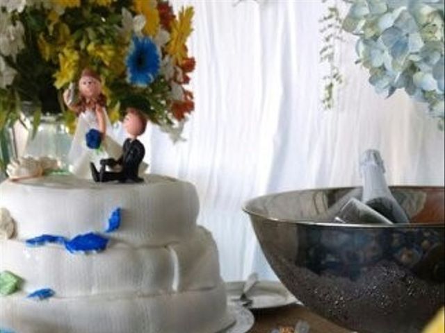 O casamento de José Renato e Natália em Taubaté, São Paulo Estado 7
