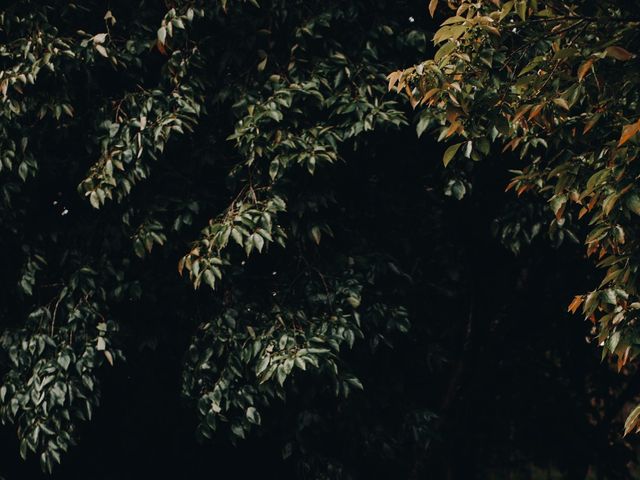 O casamento de Guilherme e Simone em Campina Grande do Sul, Paraná 2