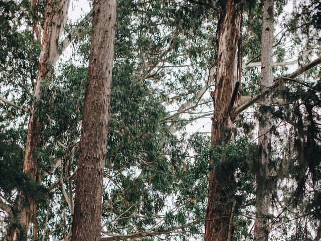 O casamento de Victor e Carolina em Campo Largo, Paraná 61