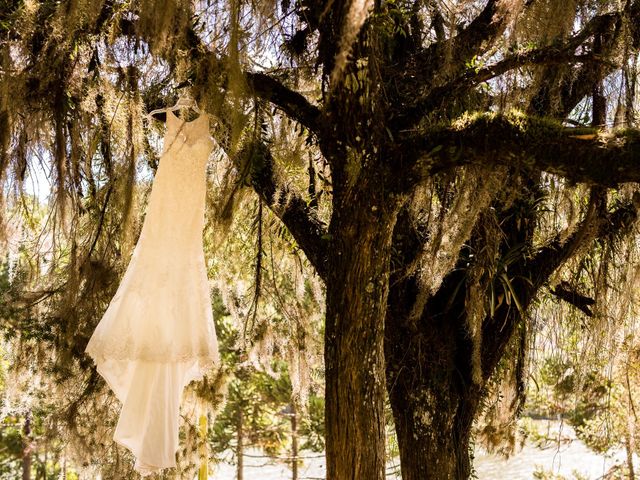 O casamento de Marcos e Priscila em Curitiba, Paraná 5