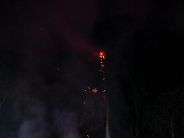 O casamento de Gustavo e Mayara em Diadema, São Paulo 160