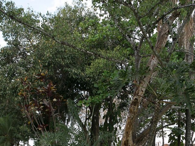 O casamento de André e Mariana em Goiânia, Goiás 115