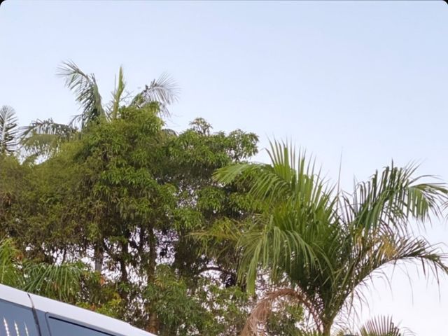 O casamento de Felipe e Valéria  em Taubaté, São Paulo Estado 8