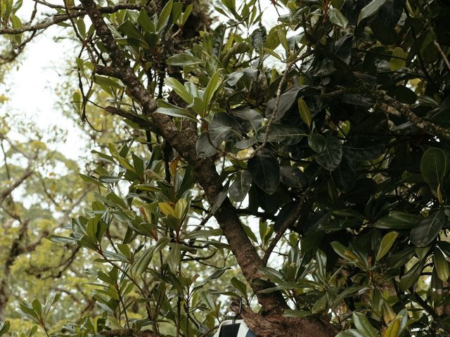 O casamento de Vinicius e Batira em São Bernardo do Campo, São Paulo 14