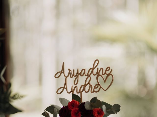 O casamento de André  e Aryadne  em Campina Grande do Sul, Paraná 22