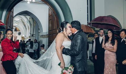 Rosa Chá Cerimonial