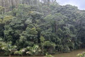Rancho Mineiro