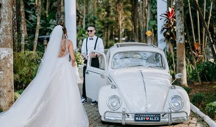 Fusca Birusca Kombi Biruja