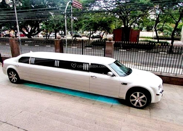 Mega Limousines
