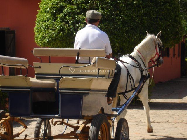 Aluguel De Carruagem Para Casamento Campinas Aolugar Carruagens Cenarios Eventos A Partir De R 500 5
