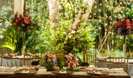 Johana Ortega - Decorações & Eventos