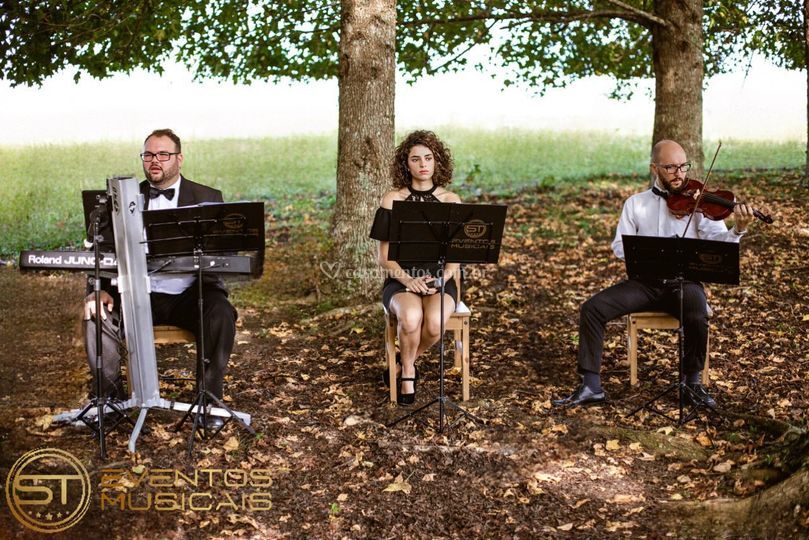 ST Eventos Musicais