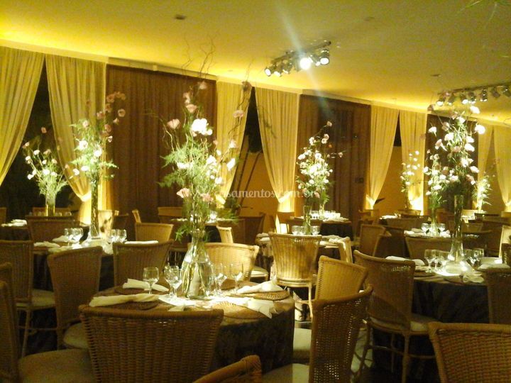 Parthenon VIP