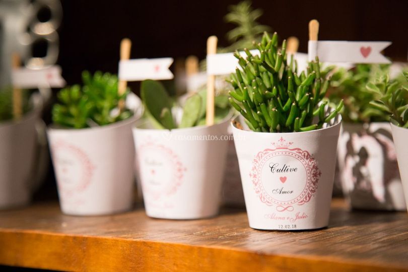 Little Garden