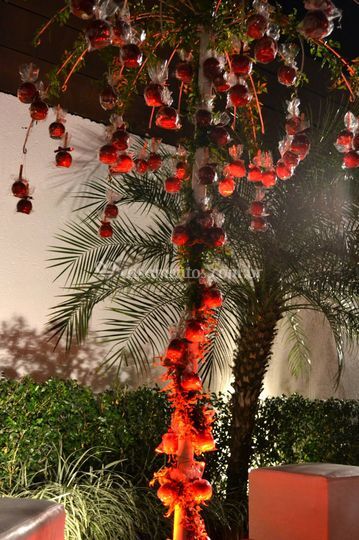 Arvore De Maça Do Amor Para Casamento Preço T K Decoracoes E Festas Opinioes A Partir De R 400 10 Desconto