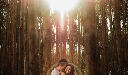 Elisson Andrade | Fotografia