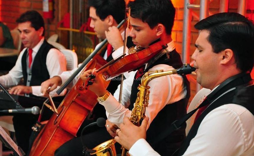 Alta Conexão Eventos