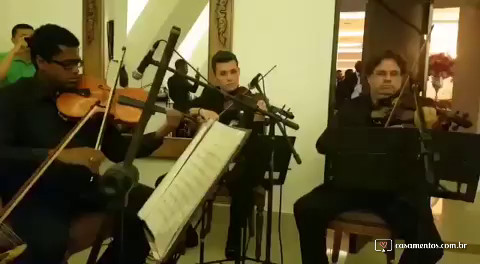 Quarteto de cordas