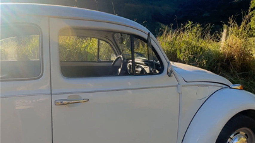 Um fusca que ama viajar para paisagens