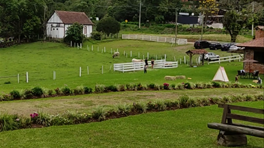 Lone Star Gramado - Cavalo