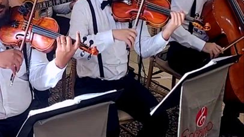 FORMAÇÃO BANDA - VOZ, CORDAS & METAIS