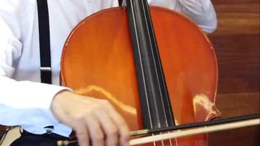 FORMAÇÃO TRIO - PIANO, CELLO & GAITA