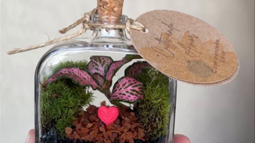 Mini Terrario com Coração 