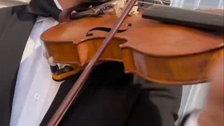 Jônatas Violinista