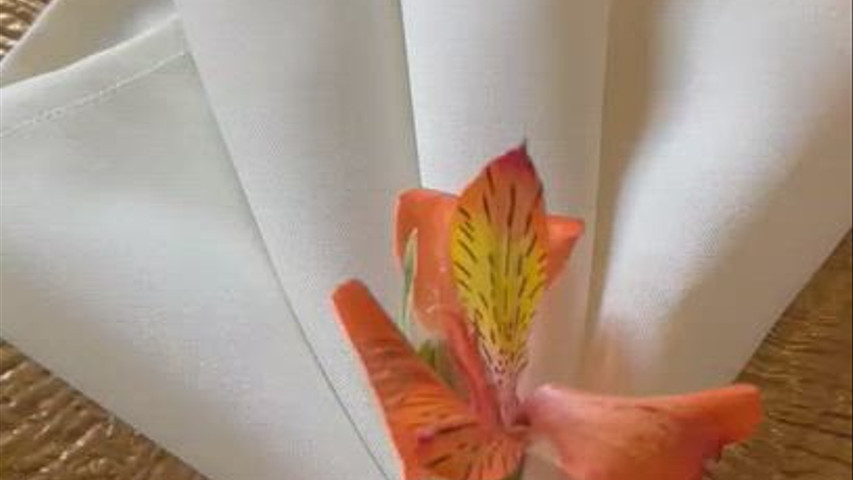 GRUPO VMH -SOLAR IMPERIAL