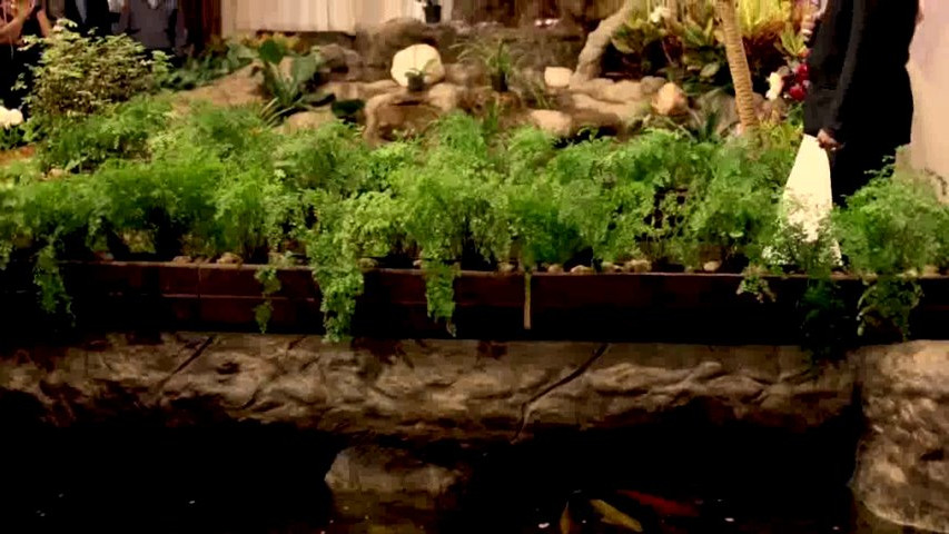 Ricardo coelho celebrante on vimeo 1