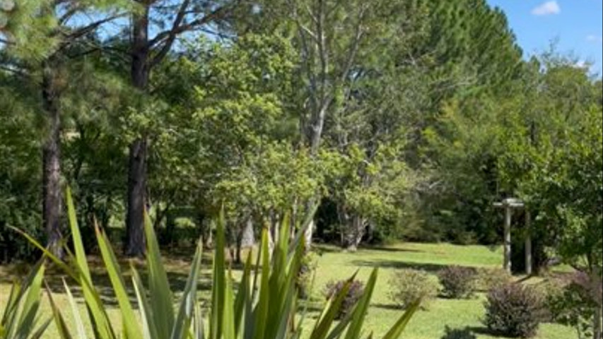 Espaços de cerimônia lindos