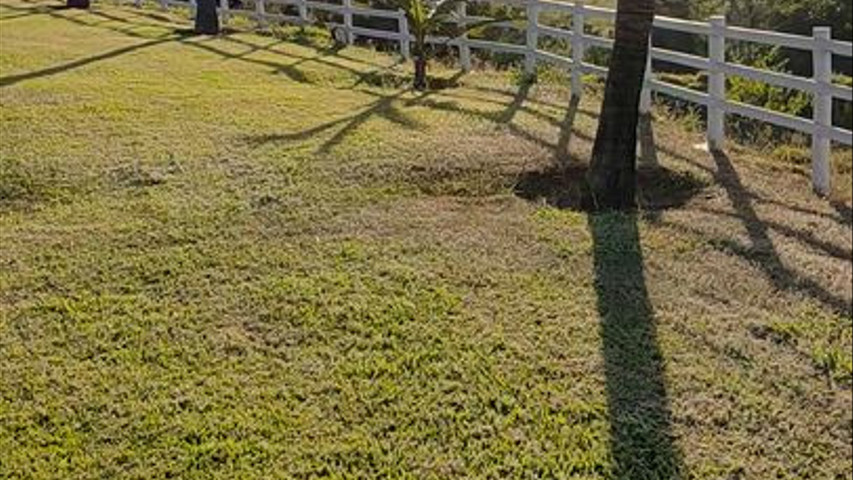 gerador para evento casamento