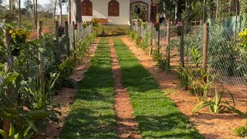 Casamento 23/8/25