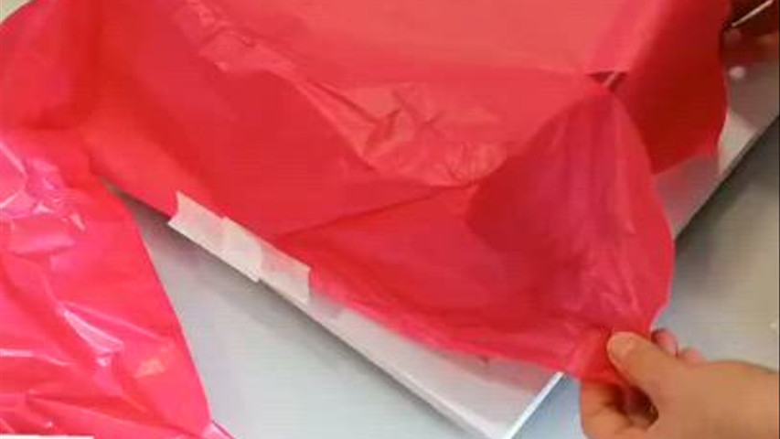 Eternização de Bouquet  de noiva