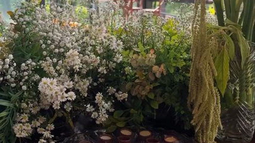 Fazenda Santa Barbara